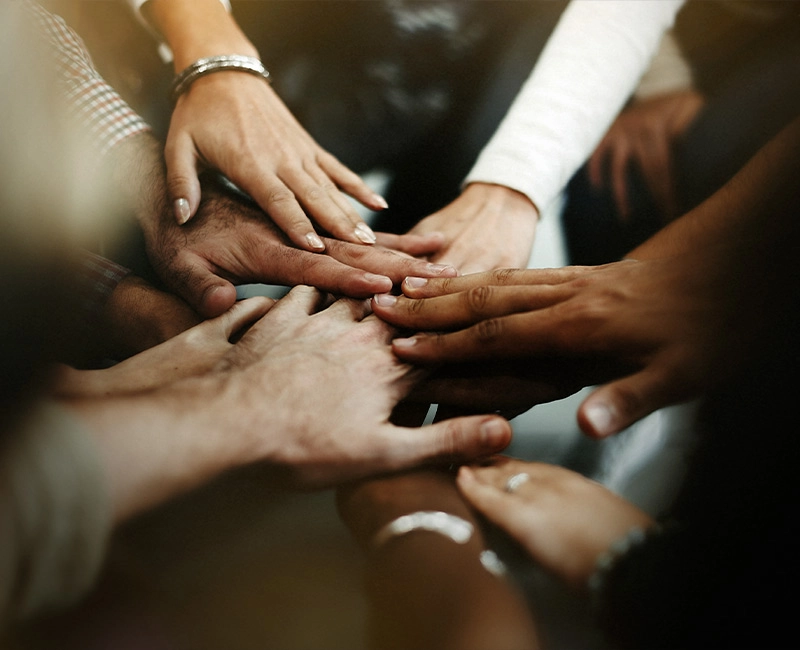 O início de tudo Mãos de diversas pessoas juntas, em comemoração.